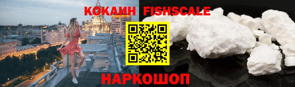 COCAIN Fish Scale  Вход с VPN  Южноуральск  Cocaine Fish Scale 