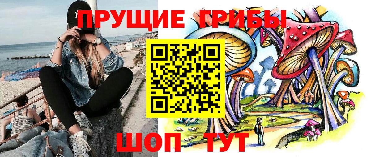 Псилоцибиновые грибы GOLDEN TEACHER Южноуральск