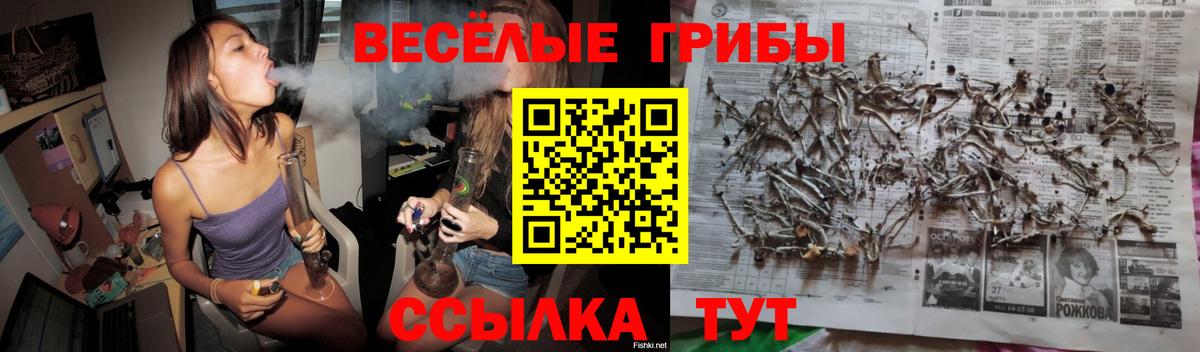 Южноуральск  дарнет шоп  Вход с VPN  Галлюциногенные грибы MAGIC MUSHROOMS 